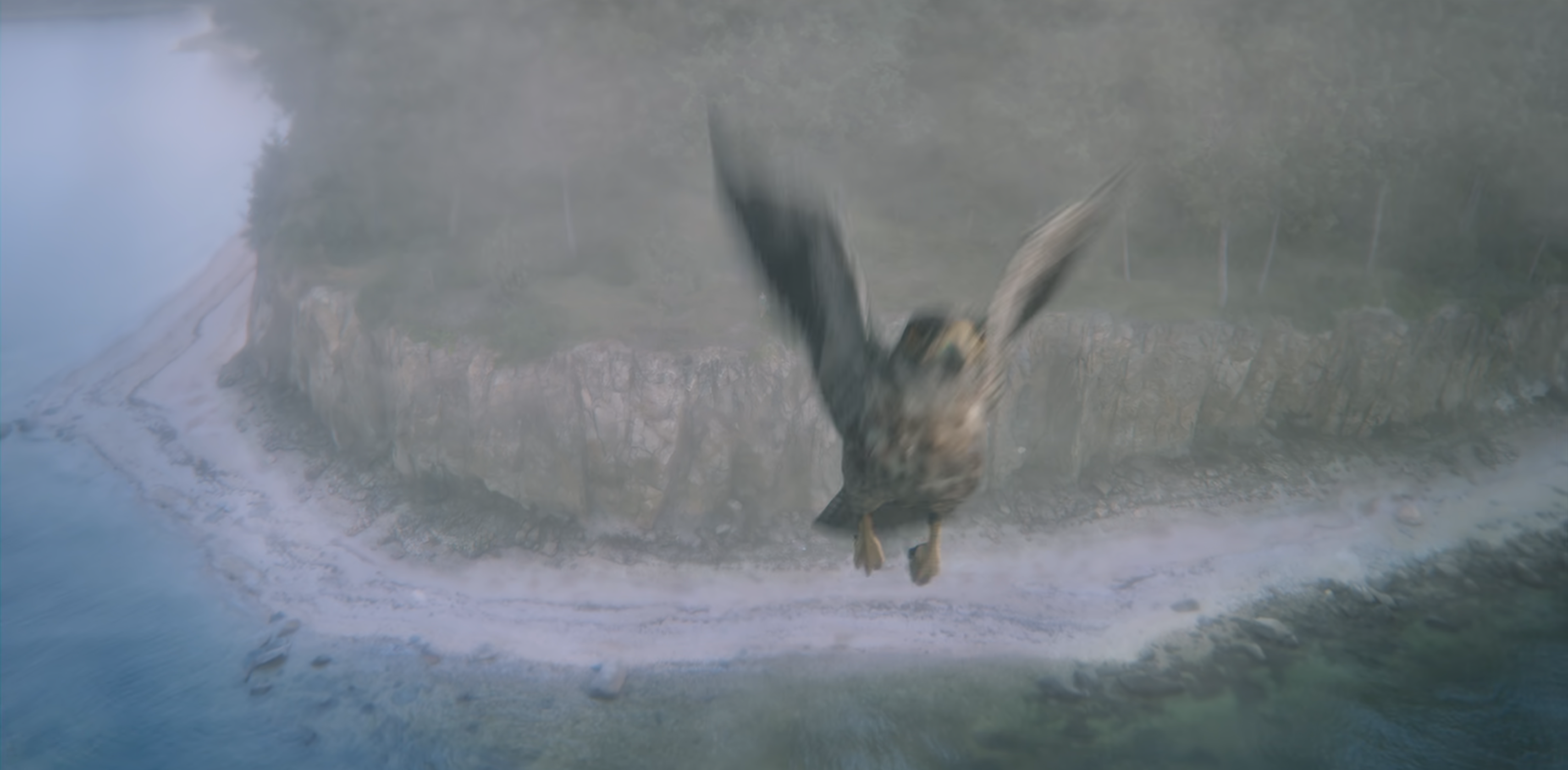 Barnaby flyingggggg